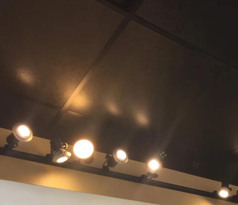 Recessed and track ceiling lighting by Elite Electric