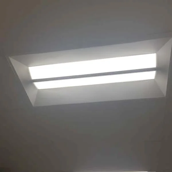 Office ceiling recessed lighting by Elite Electric
