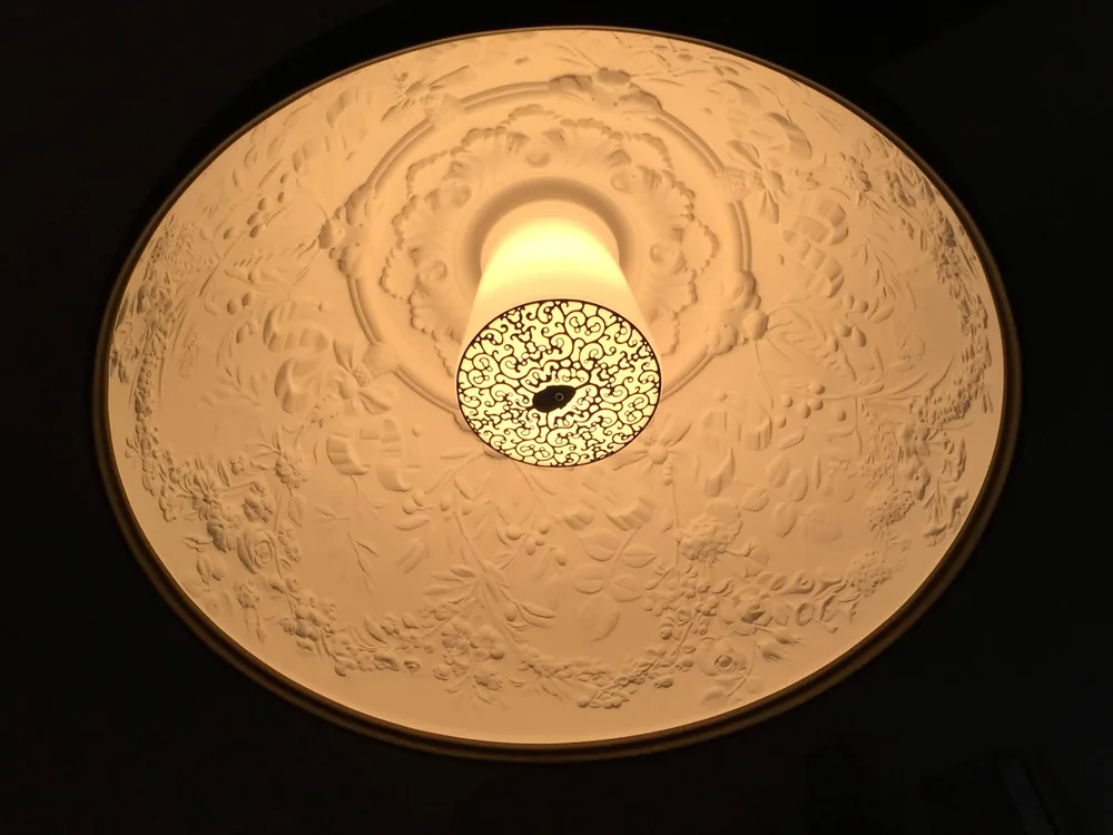 Illuminated ceiling medallion by Elite Electric